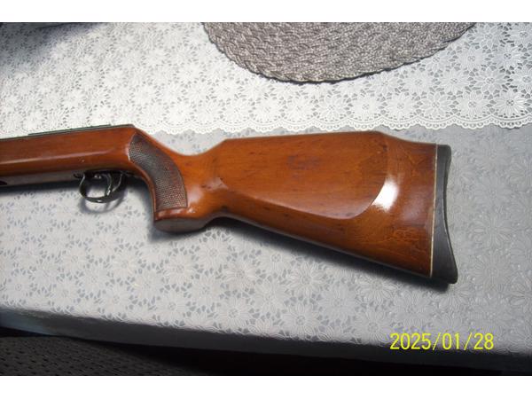 luchtbus diana  model 35